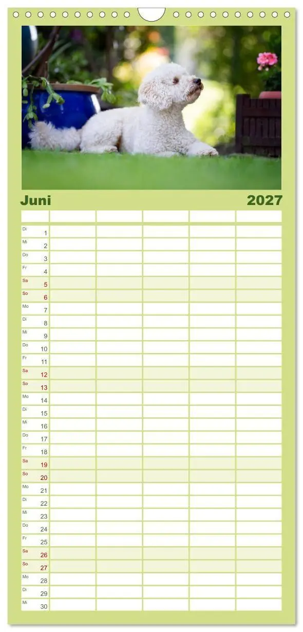 Bild: 9783594343234 | Familienplaner 2027 - Pudel mit 5 Spalten (Wandkalender, 21 x 45...