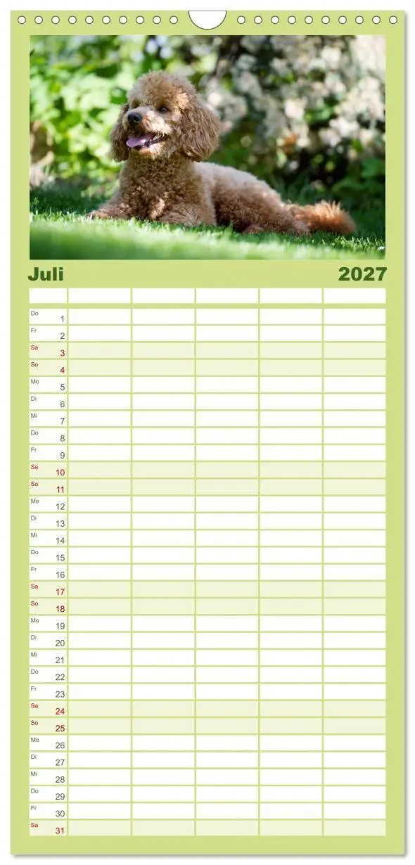 Bild: 9783594343234 | Familienplaner 2027 - Pudel mit 5 Spalten (Wandkalender, 21 x 45...