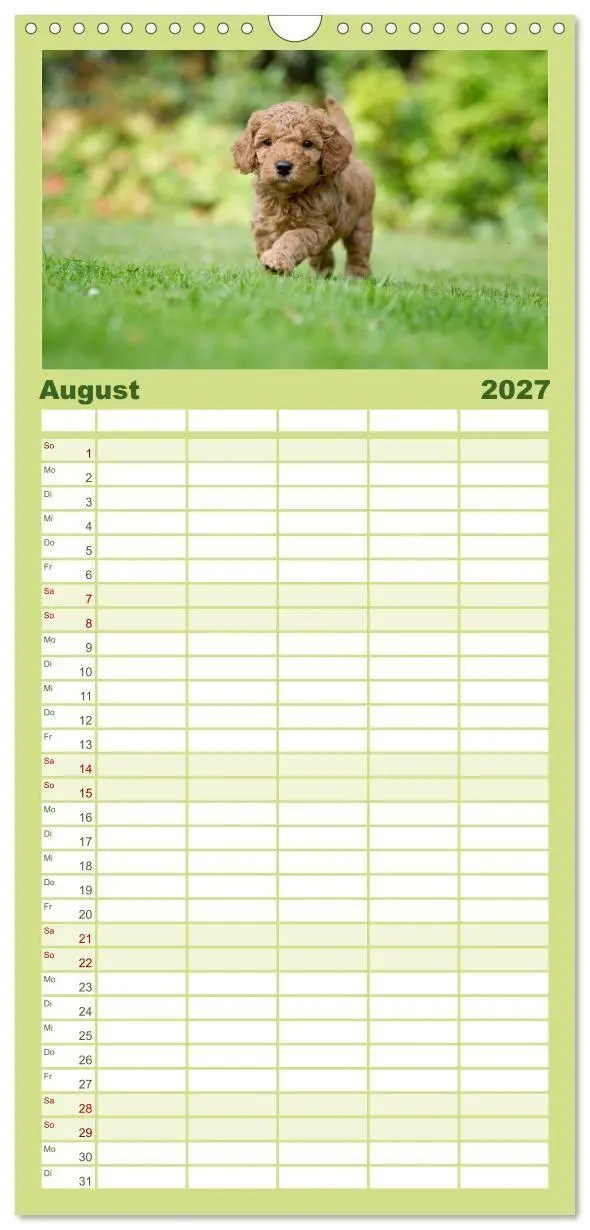 Bild: 9783594343234 | Familienplaner 2027 - Pudel mit 5 Spalten (Wandkalender, 21 x 45...
