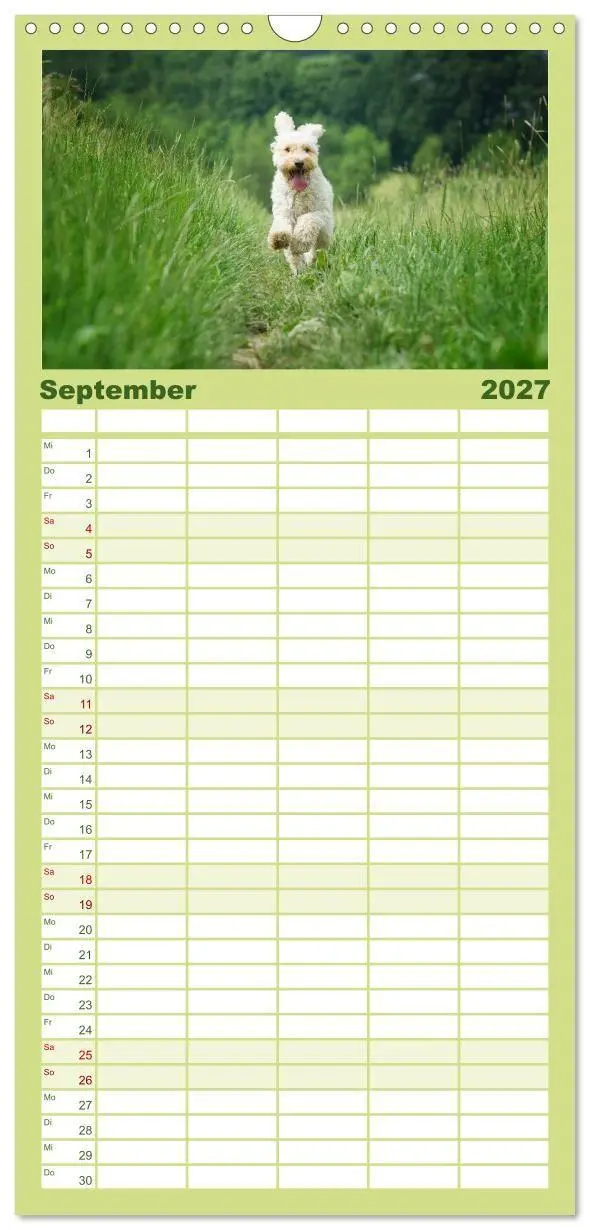Bild: 9783594343234 | Familienplaner 2027 - Pudel mit 5 Spalten (Wandkalender, 21 x 45...