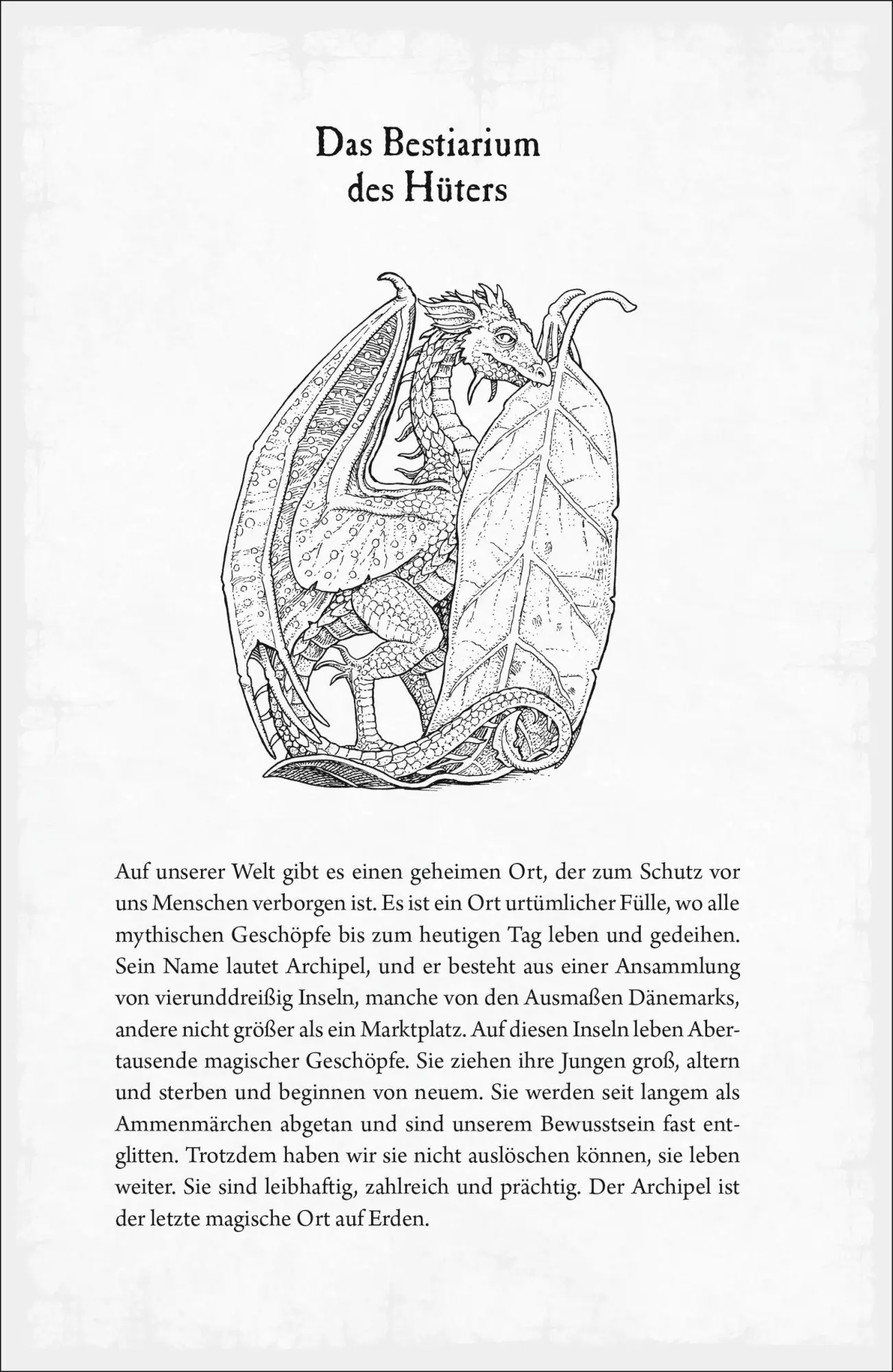 Bild: 9783737373234 | Impossible Creatures - Das Geheimnis der unglaublichen Wesen | Rundell