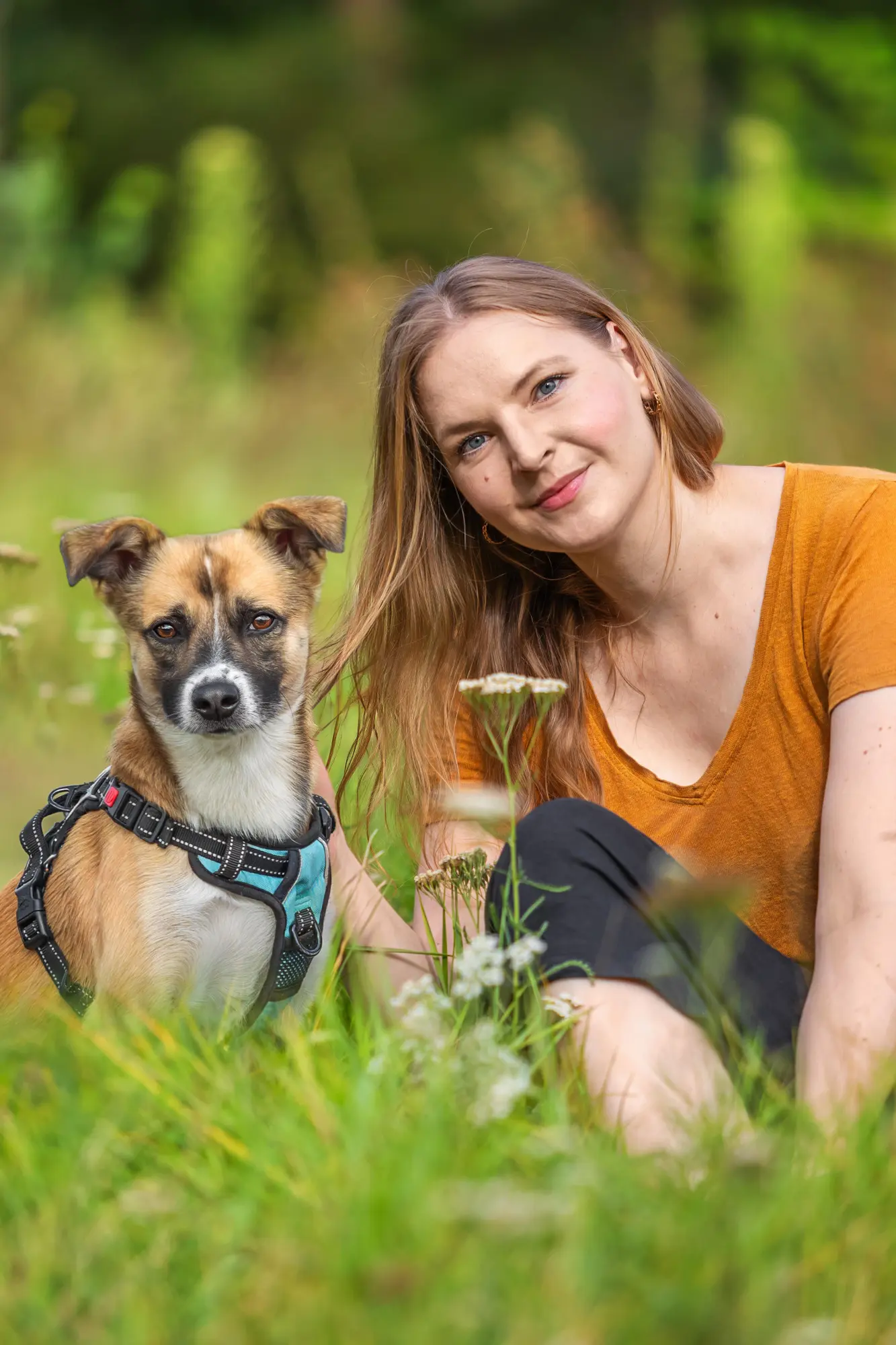 Autor: 9783814803234 | Mit Hund in Berlin | Die schönsten Ausflüge ins Grüne | Sarah Bechimer