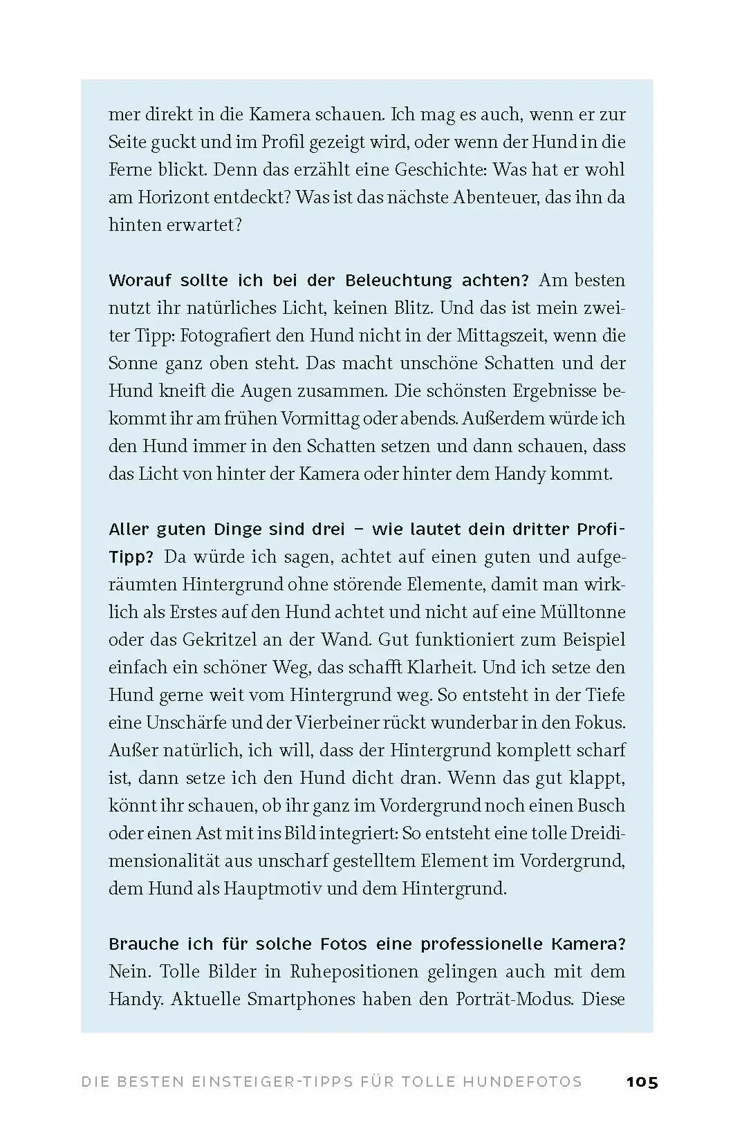 Bild: 9783814803234 | Mit Hund in Berlin | Die schönsten Ausflüge ins Grüne | Sarah Bechimer