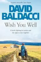 Cover: 9781529043334 | Wish You Well | David Baldacci | Taschenbuch | 416 S. | Englisch