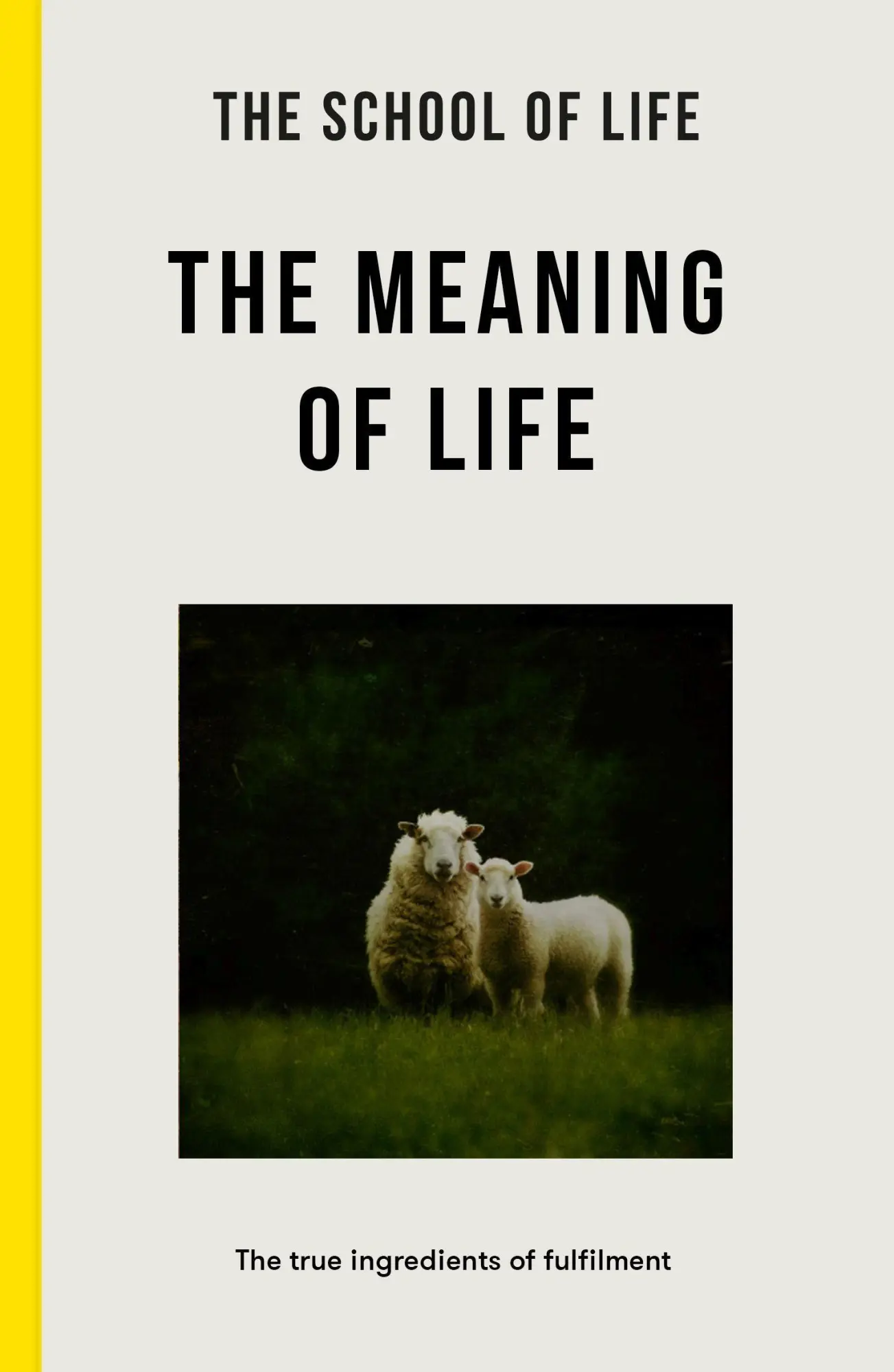 Cover: 9781916753334 | The Meaning of Life | The True Ingredients of Fulfilment | Taschenbuch