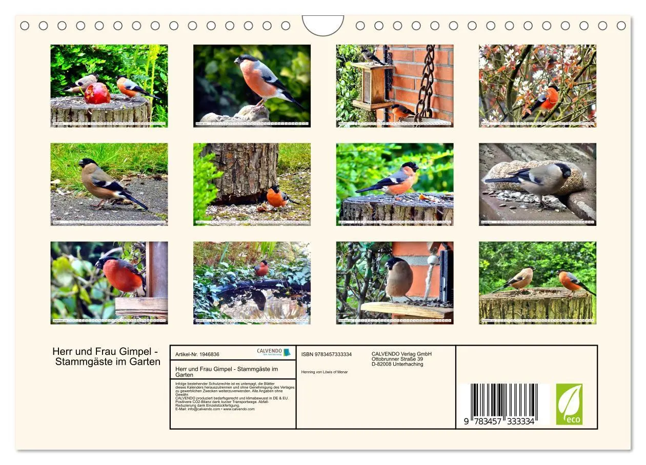 Bild: 9783457333334 | Herr und Frau Gimpel - Stammgäste im Garten (Wandkalender 2026 DIN...