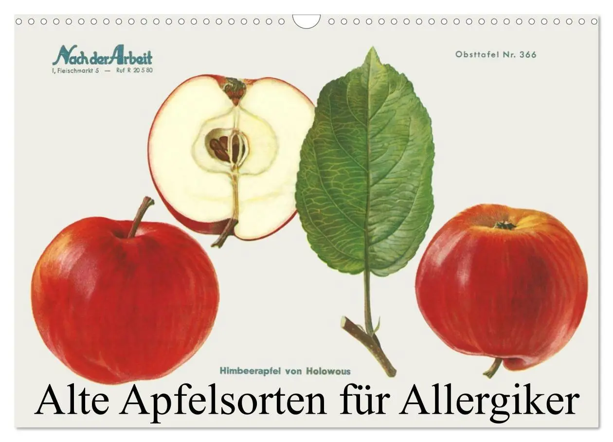 Cover: 9783457573334 | Alte Apfelsorten für Allergiker (Wandkalender 2026 DIN A3 quer),...