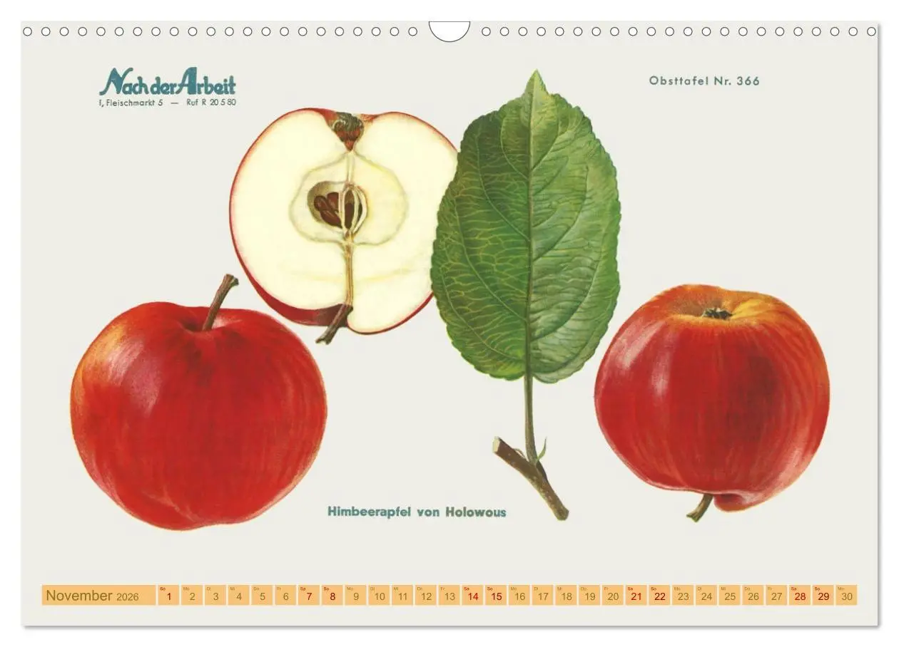Bild: 9783457573334 | Alte Apfelsorten für Allergiker (Wandkalender 2026 DIN A3 quer),...