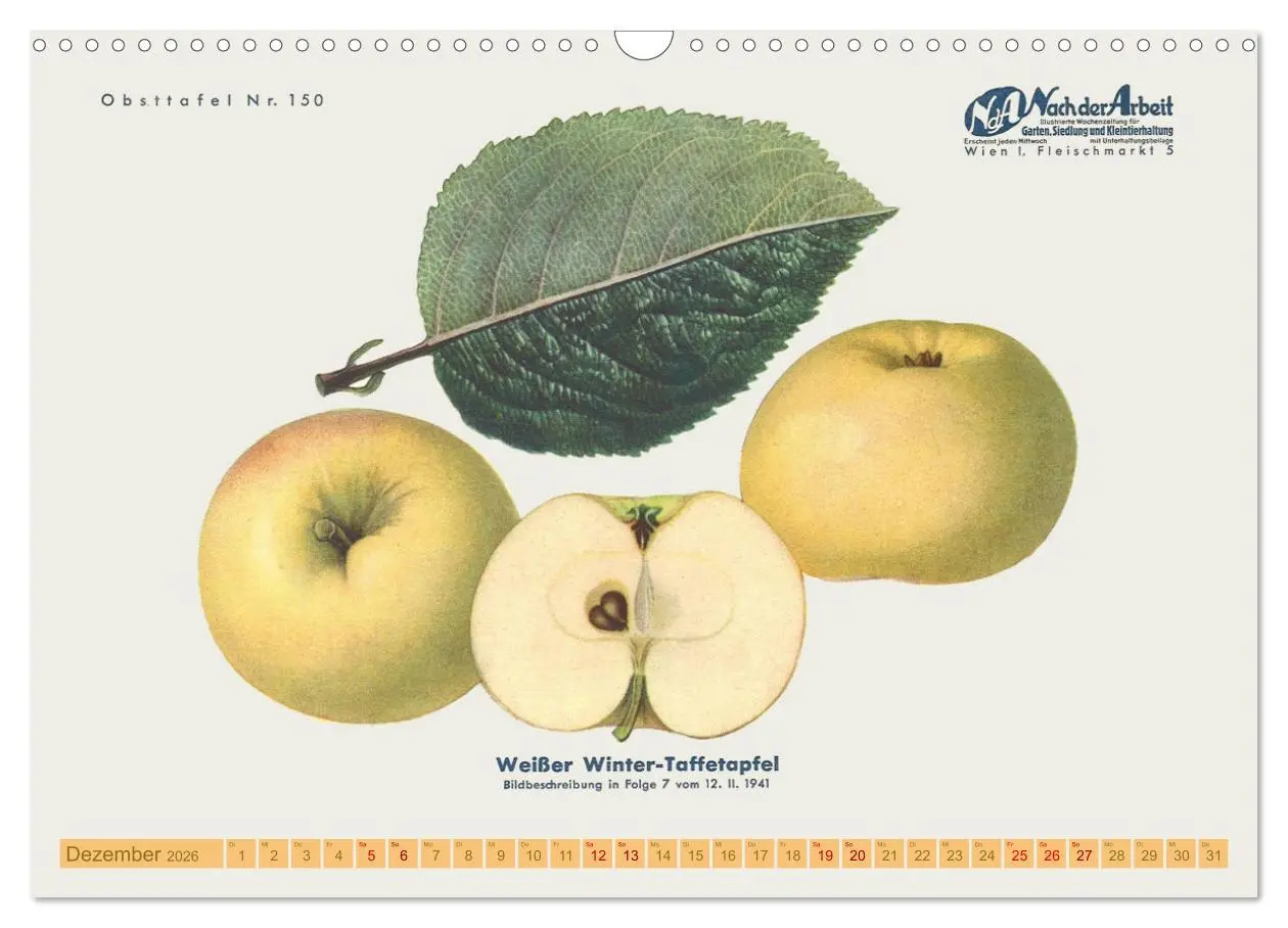 Bild: 9783457573334 | Alte Apfelsorten für Allergiker (Wandkalender 2026 DIN A3 quer),...