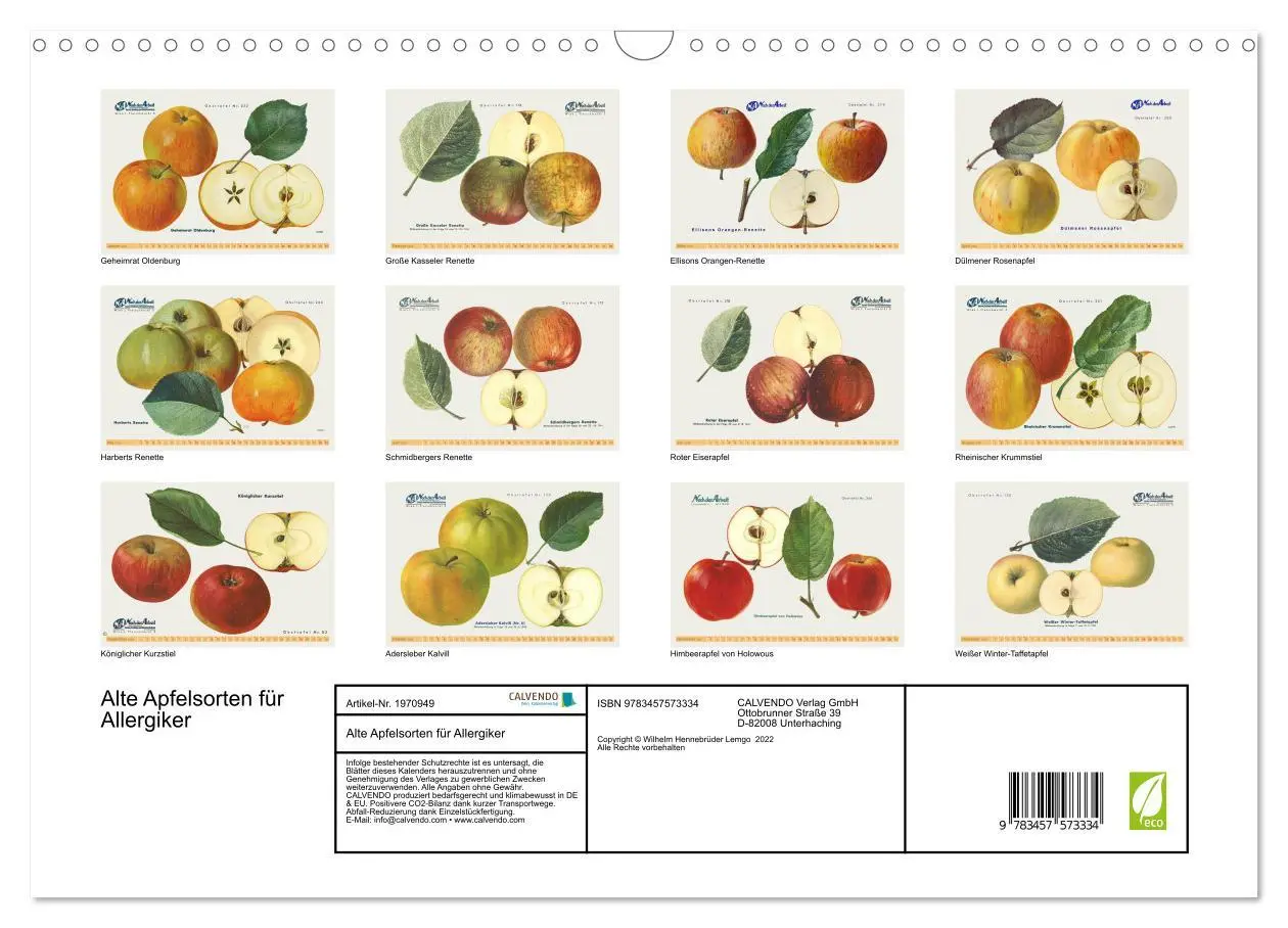 Bild: 9783457573334 | Alte Apfelsorten für Allergiker (Wandkalender 2026 DIN A3 quer),...