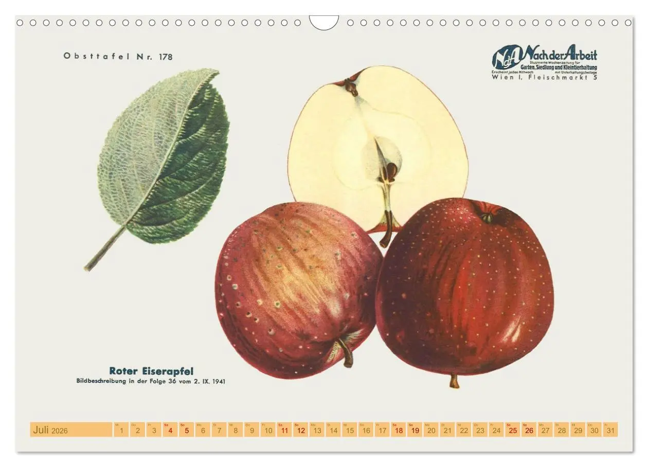Bild: 9783457573334 | Alte Apfelsorten für Allergiker (Wandkalender 2026 DIN A3 quer),...