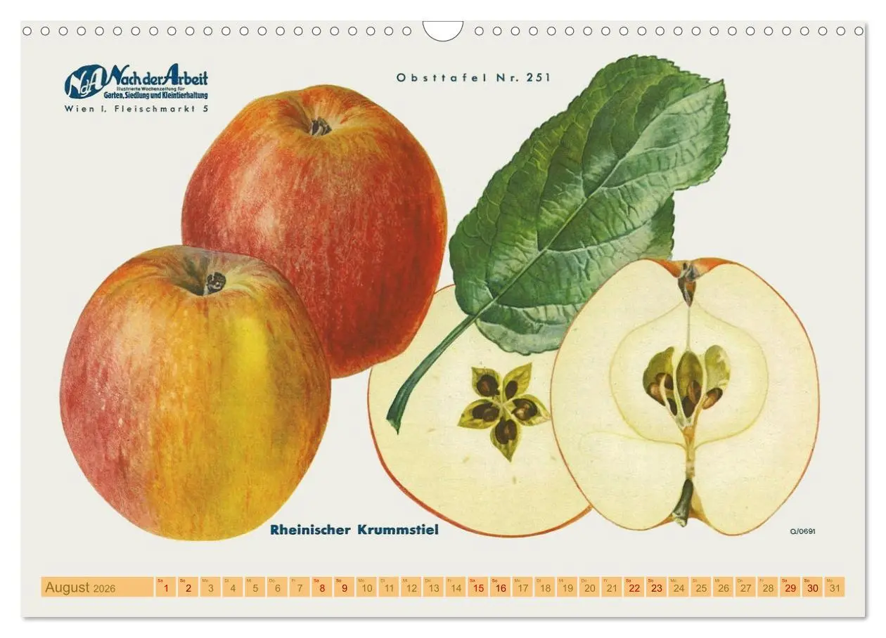 Bild: 9783457573334 | Alte Apfelsorten für Allergiker (Wandkalender 2026 DIN A3 quer),...