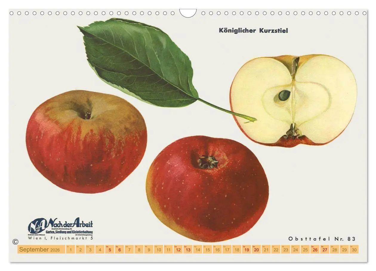 Bild: 9783457573334 | Alte Apfelsorten für Allergiker (Wandkalender 2026 DIN A3 quer),...