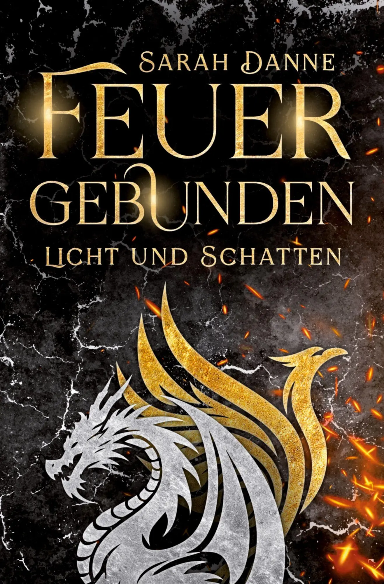 Cover: 9783819453434 | Feuergebunden | Licht und Schatten | Sarah Danne | Taschenbuch | 2025