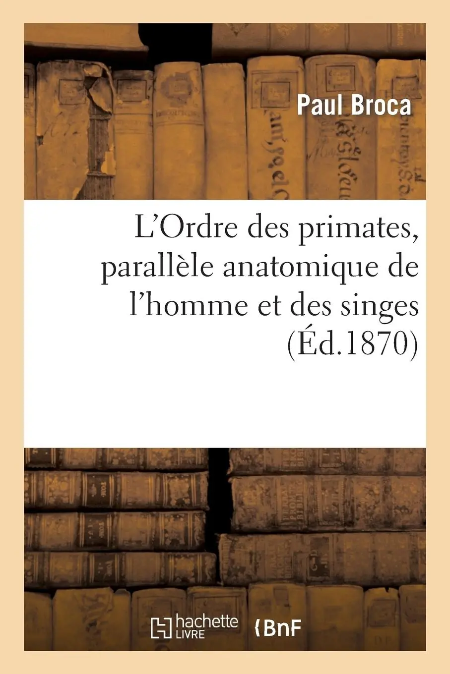 Cover: 9782012973534 | L'Ordre Des Primates, Parallèle Anatomique de l'Homme Et Des Singes