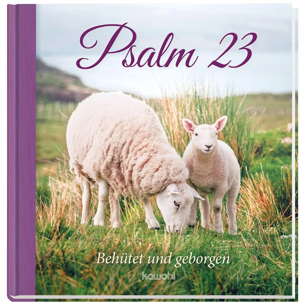 Cover: 9783863383534 | Psalm 23 | Behütet und geborgen | Buch | 48 S. | Deutsch | 2026