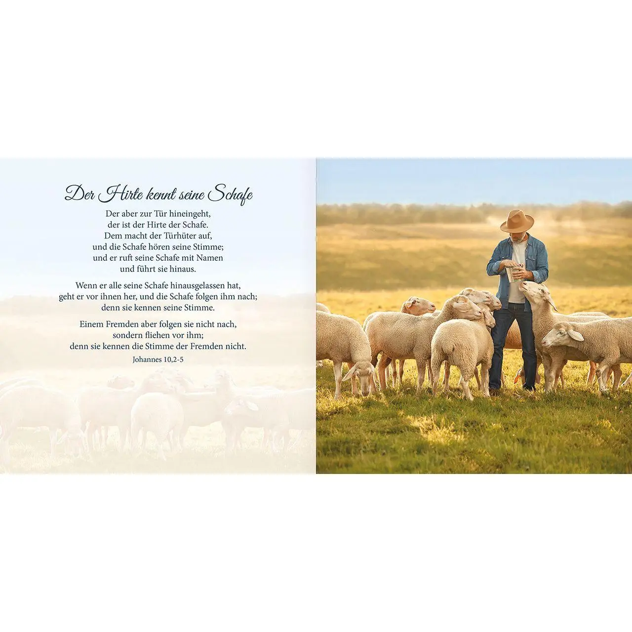 Bild: 9783863383534 | Psalm 23 | Behütet und geborgen | Buch | 48 S. | Deutsch | 2026