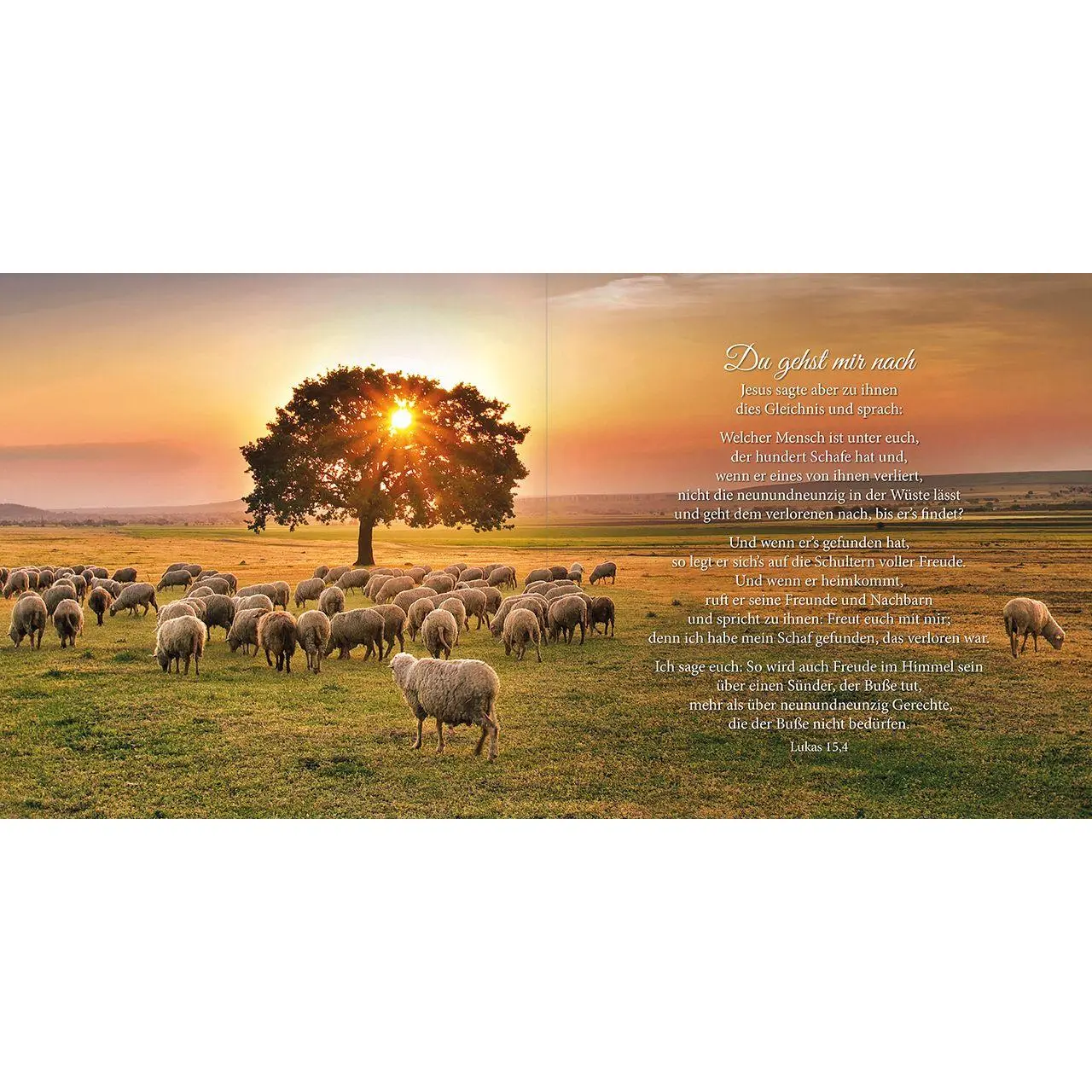 Bild: 9783863383534 | Psalm 23 | Behütet und geborgen | Buch | 48 S. | Deutsch | 2026
