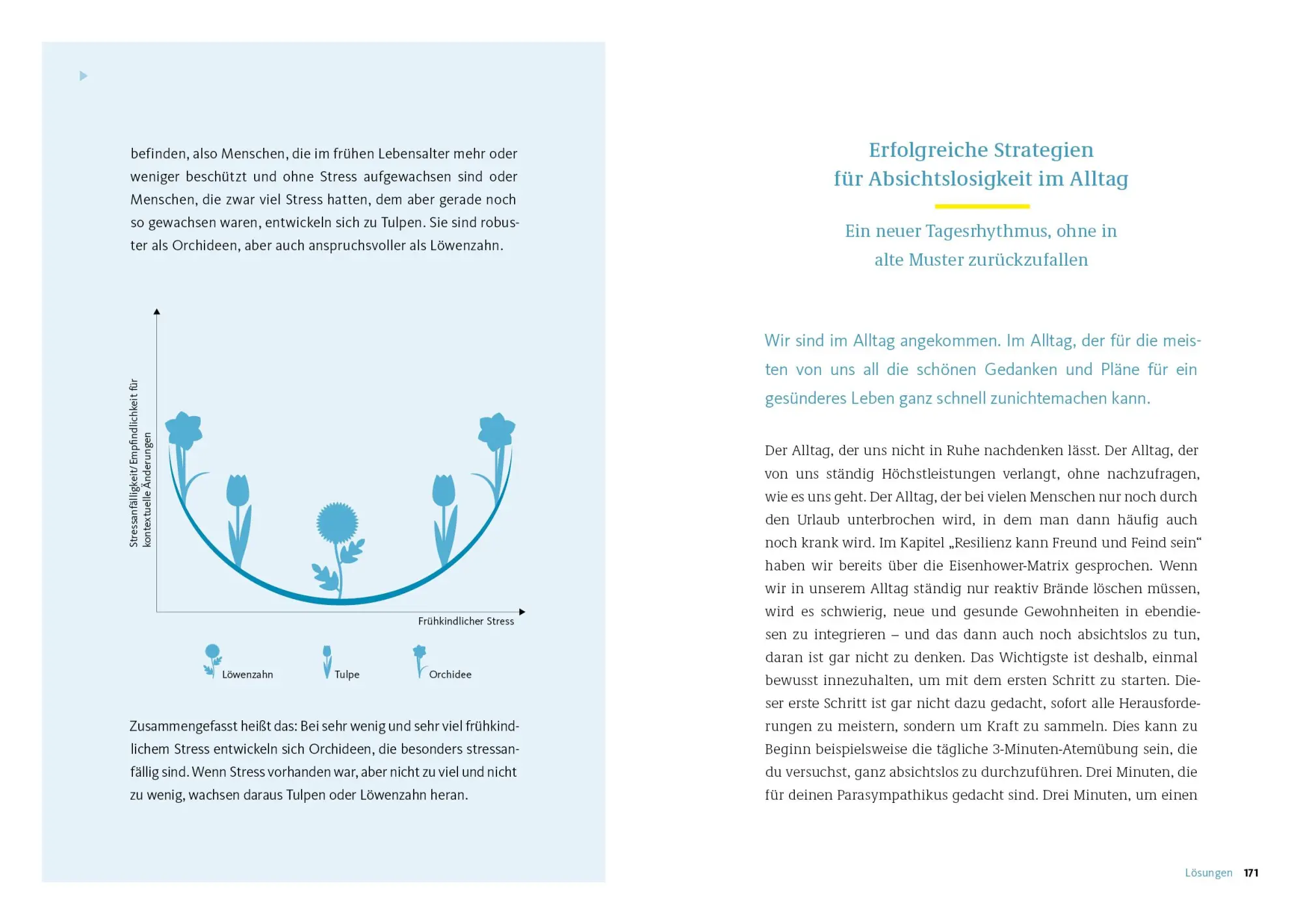 Bild: 9783954533534 | Die Strategie der Absichtslosigkeit | Fritjof Nelting | Taschenbuch