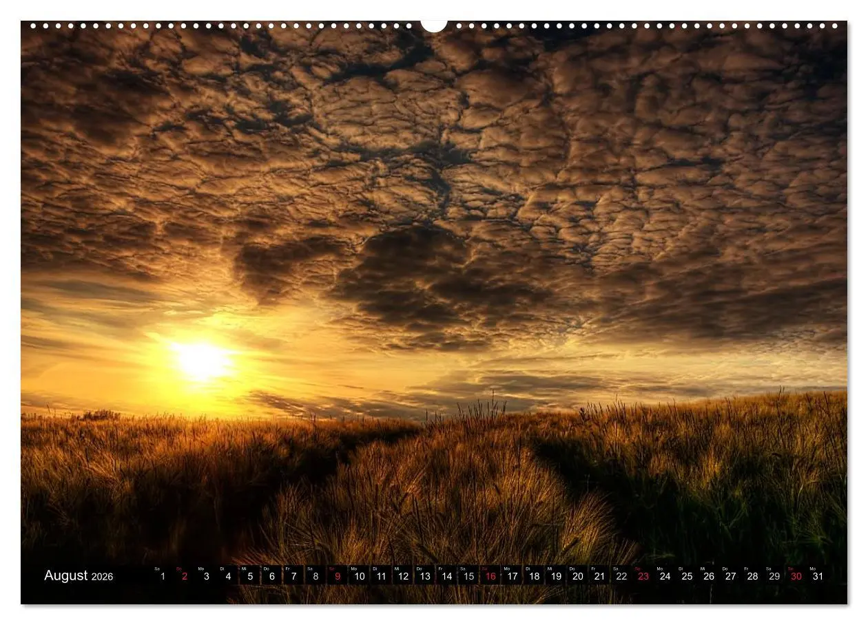 Bild: 9783516183634 | Harz Landschaften (Wandkalender 2026 DIN A2 quer), CALVENDO...