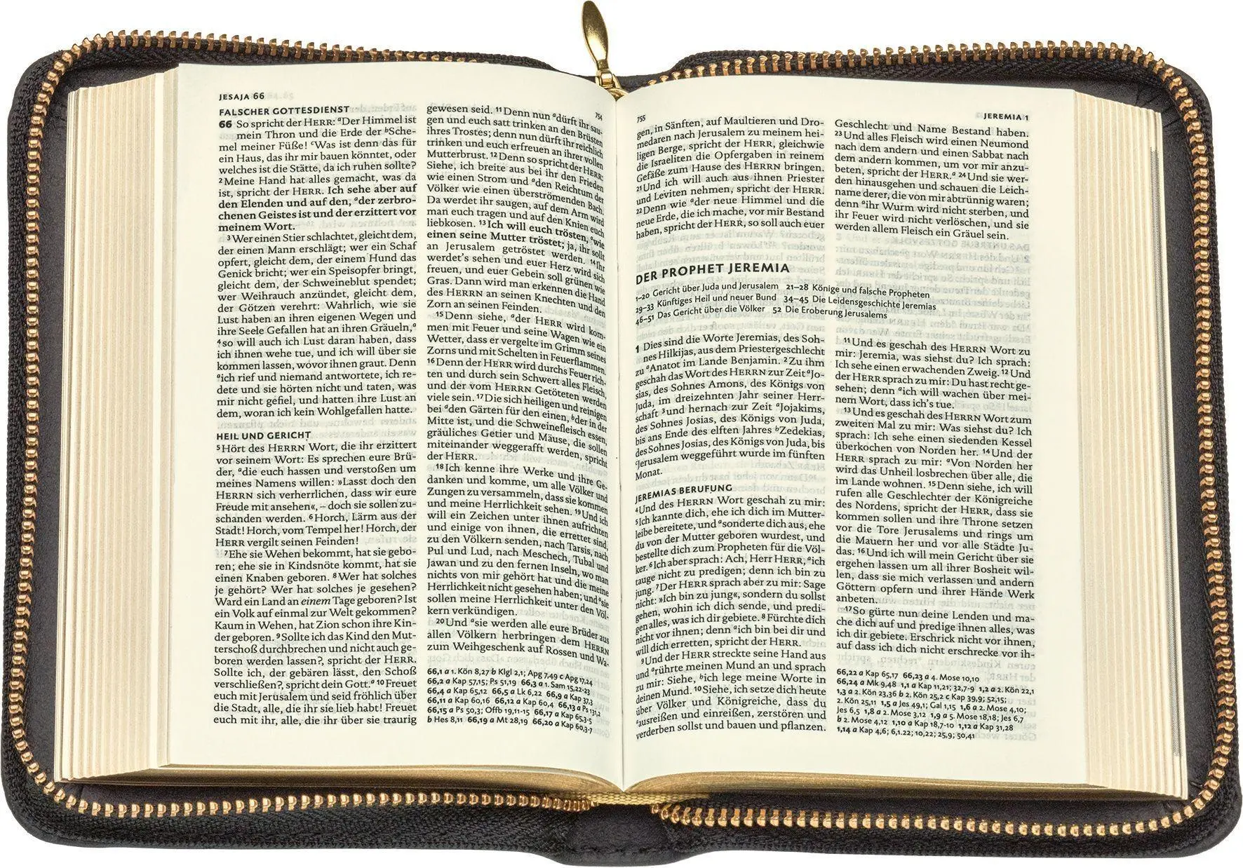 Bild: 9783438033734 | Lutherbibel - Senfkorn Lederausgabe mit Goldschnitt und Reißverschluss