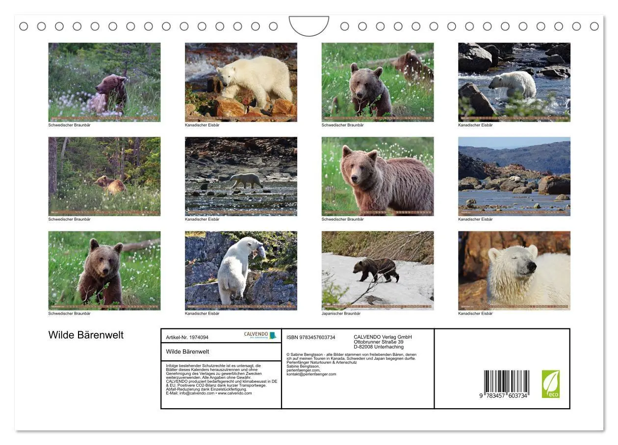 Bild: 9783457603734 | Wilde Bärenwelt (Wandkalender 2026 DIN A4 quer), CALVENDO...