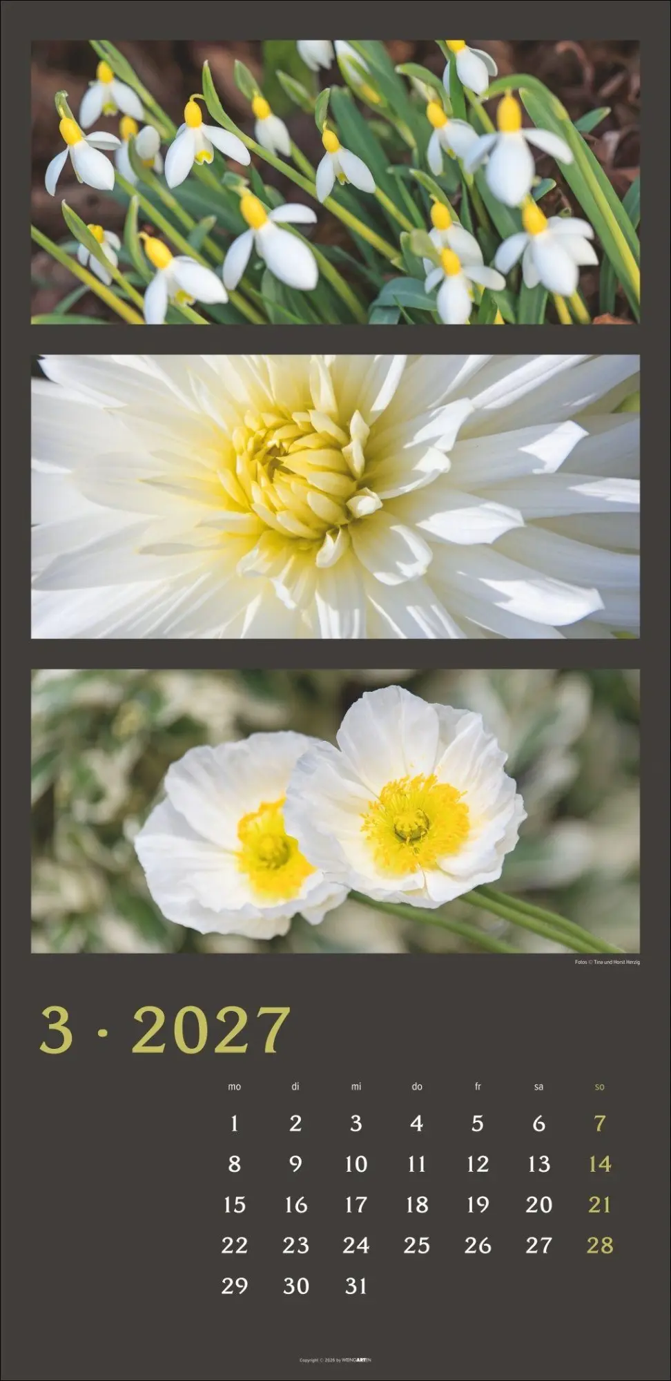 Bild: 9783839903834 | Die Farben der Natur Kalender 2027 | Horst Herzig | Kalender | 14 S.