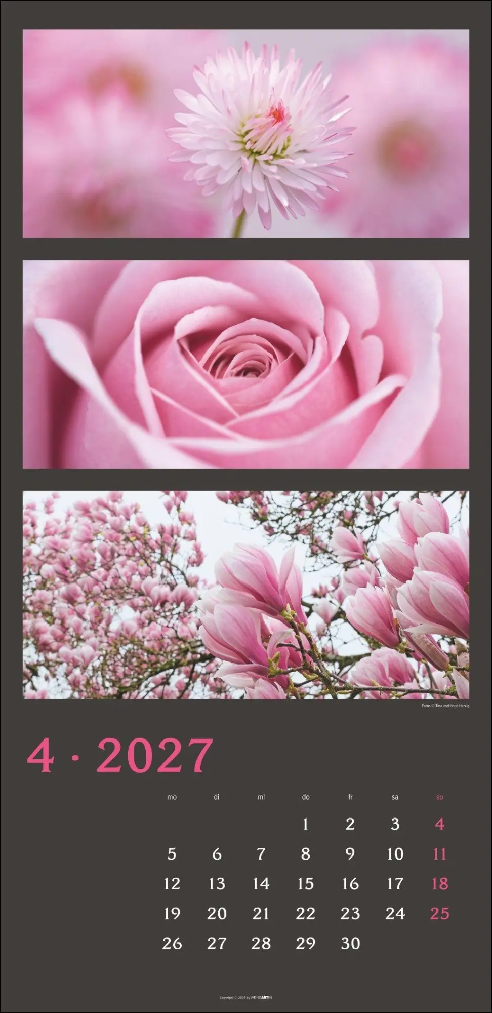 Bild: 9783839903834 | Die Farben der Natur Kalender 2027 | Horst Herzig | Kalender | 14 S.