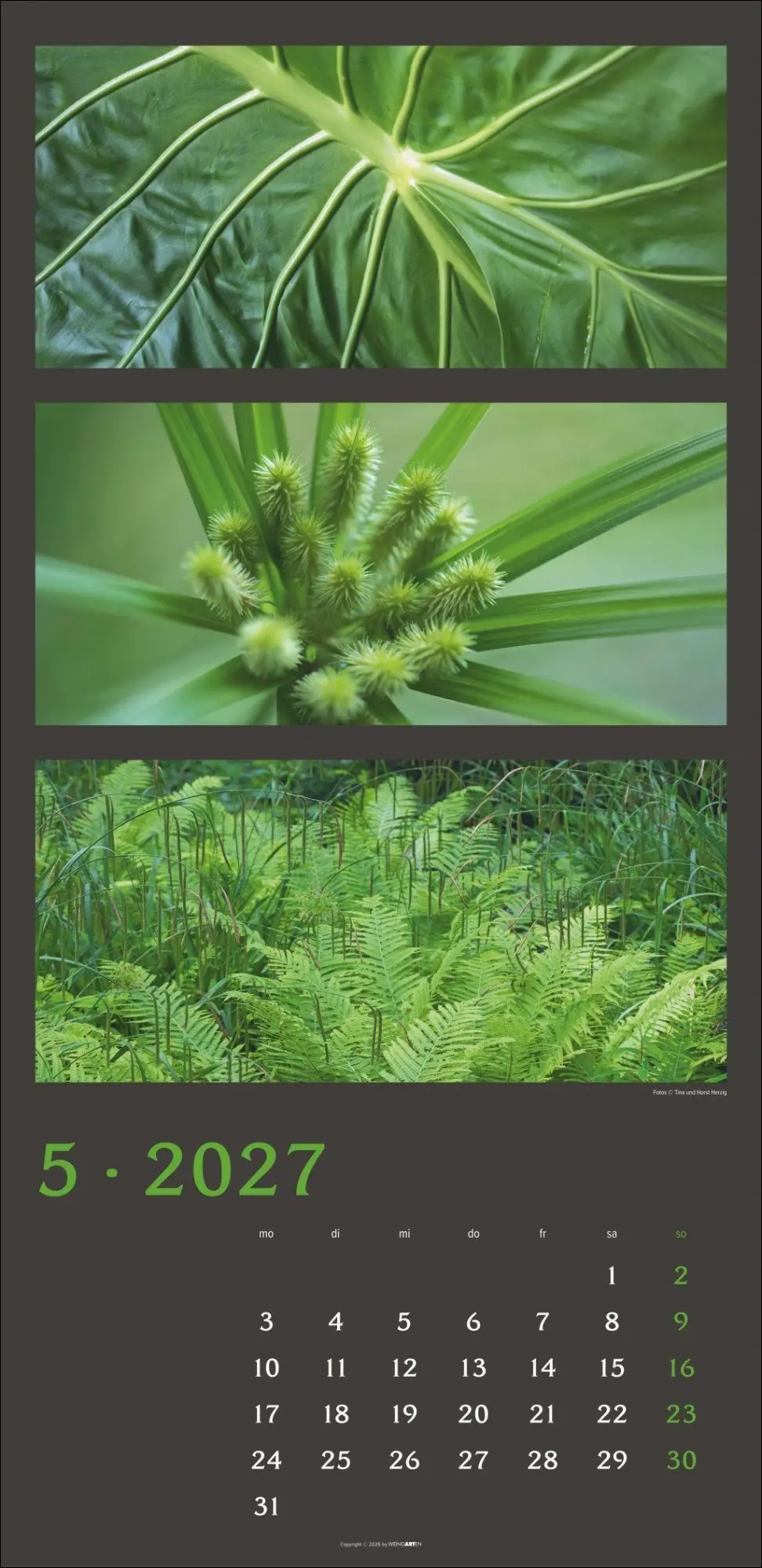Bild: 9783839903834 | Die Farben der Natur Kalender 2027 | Horst Herzig | Kalender | 14 S.