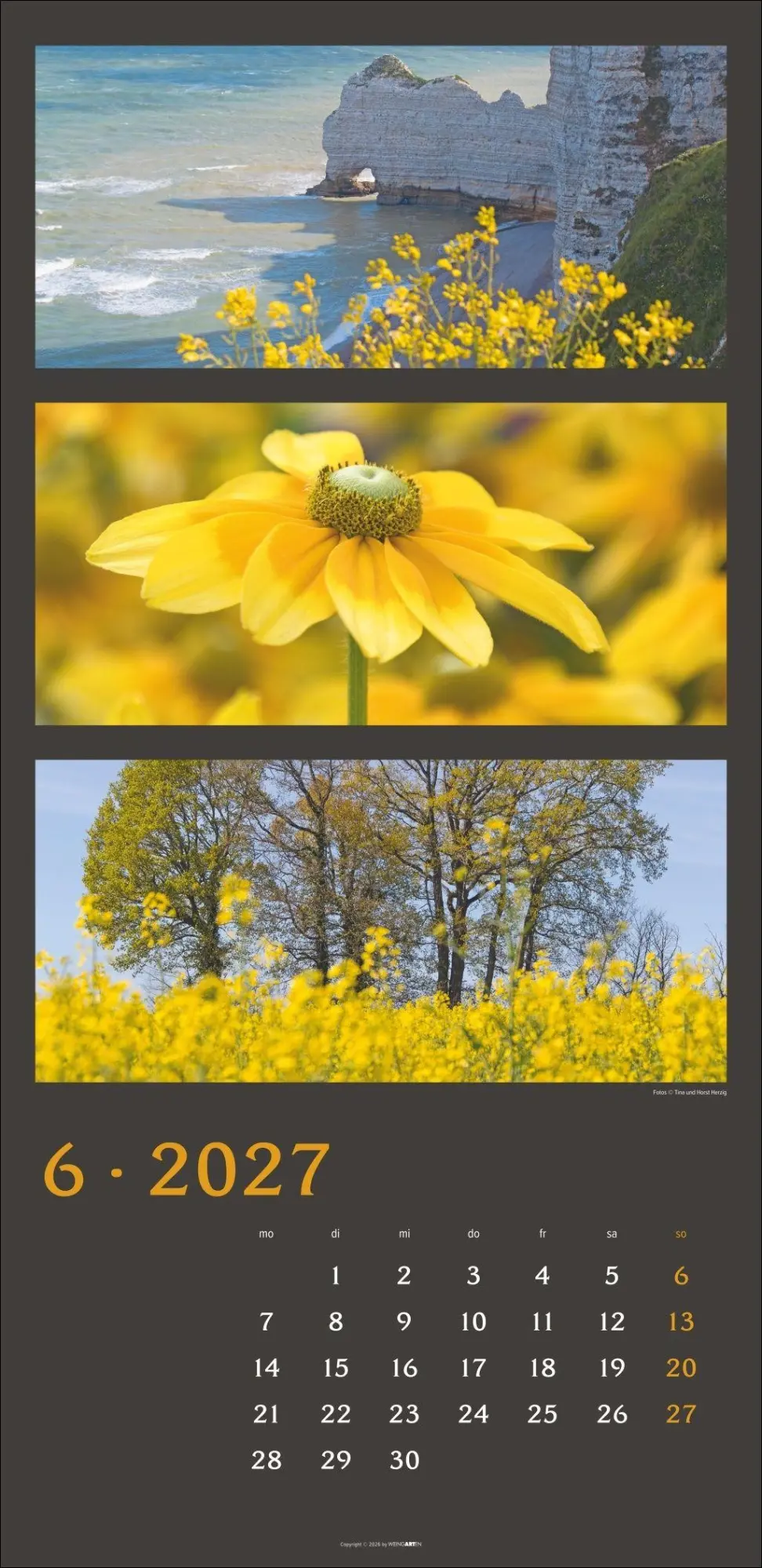 Bild: 9783839903834 | Die Farben der Natur Kalender 2027 | Horst Herzig | Kalender | 14 S.
