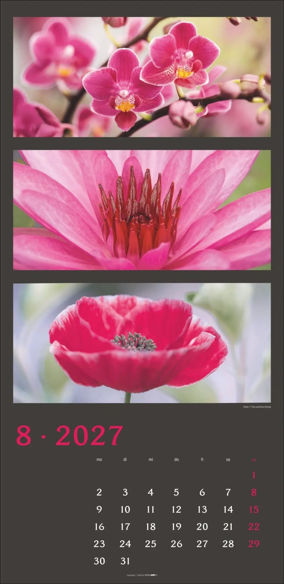Bild: 9783839903834 | Die Farben der Natur Kalender 2027 | Horst Herzig | Kalender | 14 S.