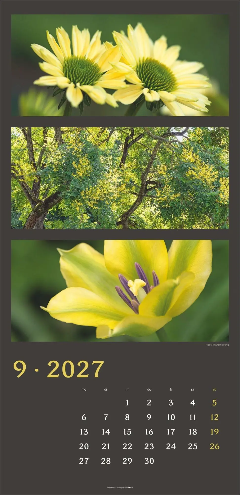 Bild: 9783839903834 | Die Farben der Natur Kalender 2027 | Horst Herzig | Kalender | 14 S.