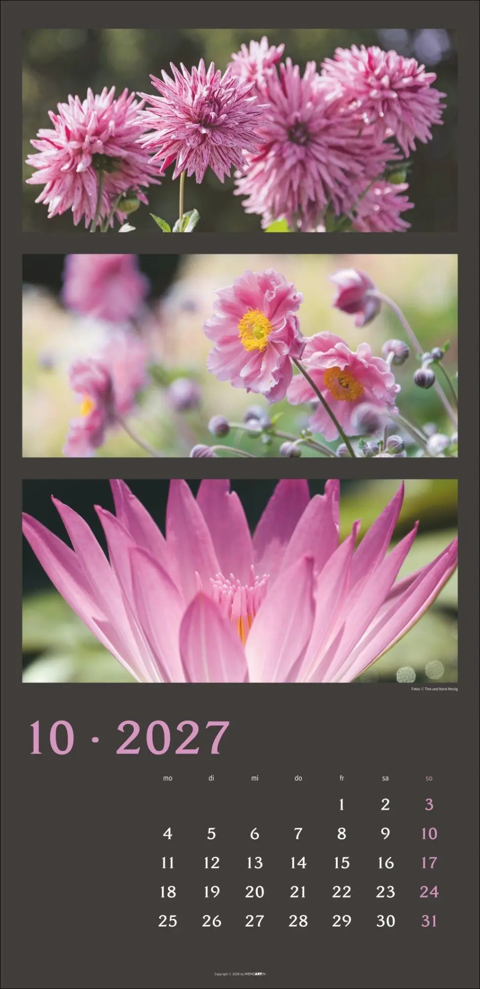Bild: 9783839903834 | Die Farben der Natur Kalender 2027 | Horst Herzig | Kalender | 14 S.