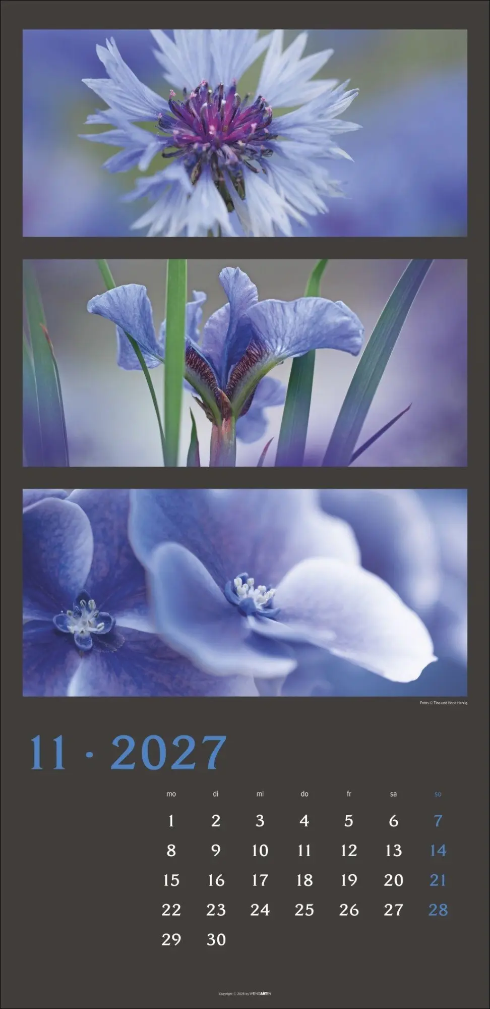 Bild: 9783839903834 | Die Farben der Natur Kalender 2027 | Horst Herzig | Kalender | 14 S.