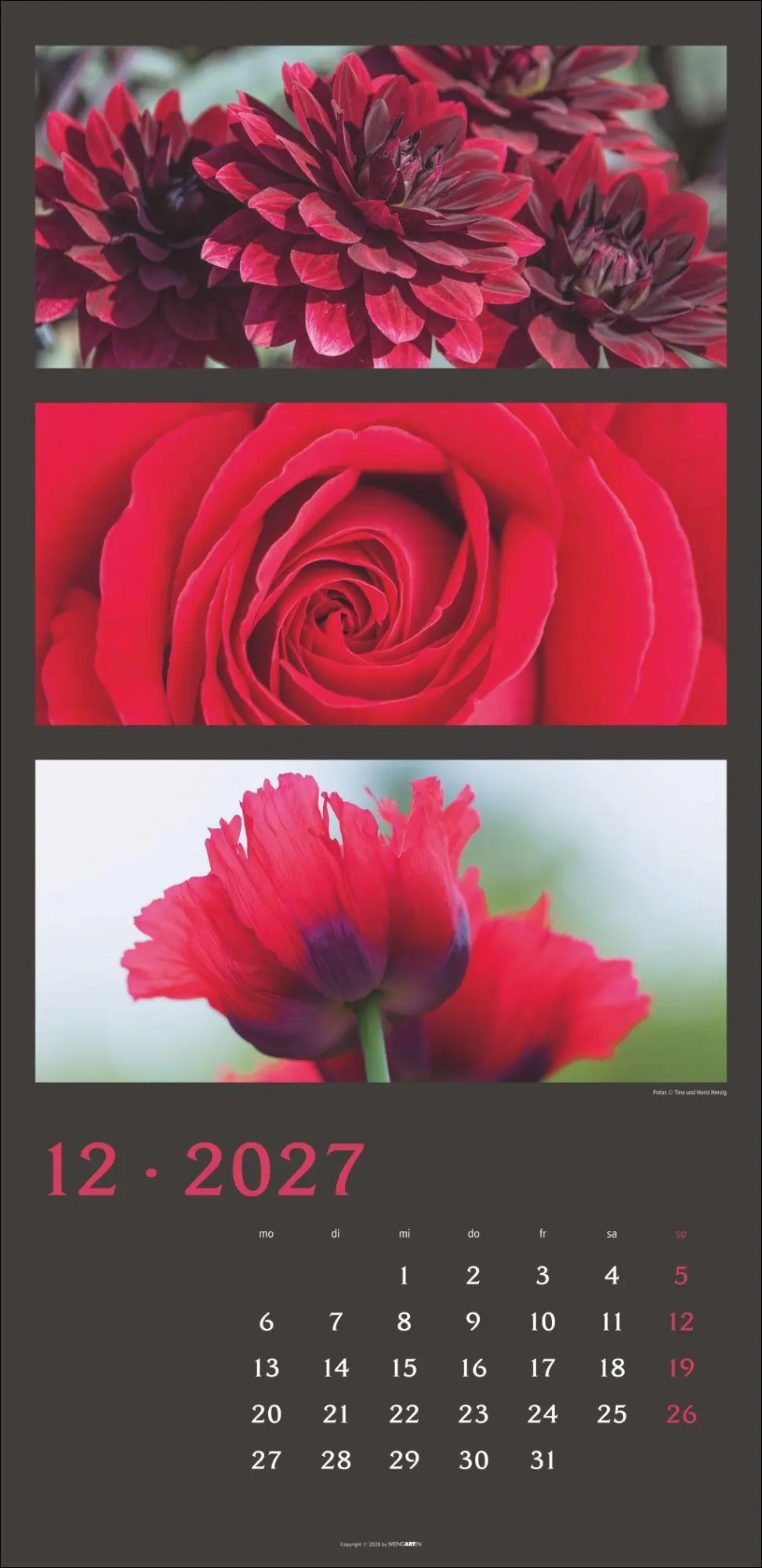 Bild: 9783839903834 | Die Farben der Natur Kalender 2027 | Horst Herzig | Kalender | 14 S.