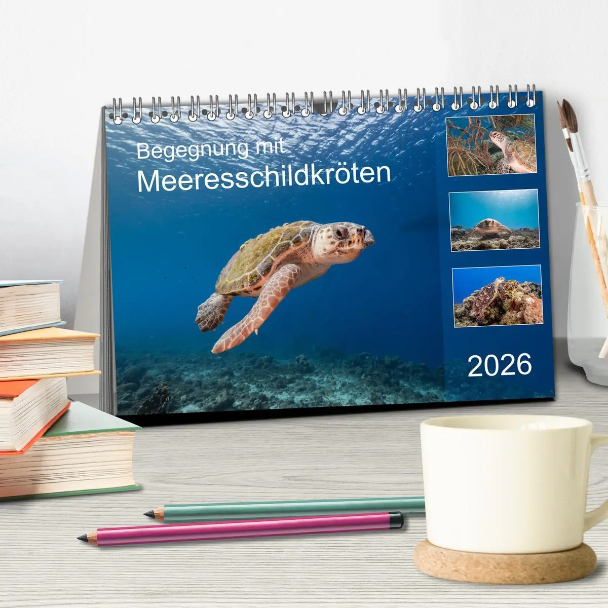 Bild: 9783457683934 | Begegnung mit Meeresschildkröten (Tischkalender 2026 DIN A5 quer),...