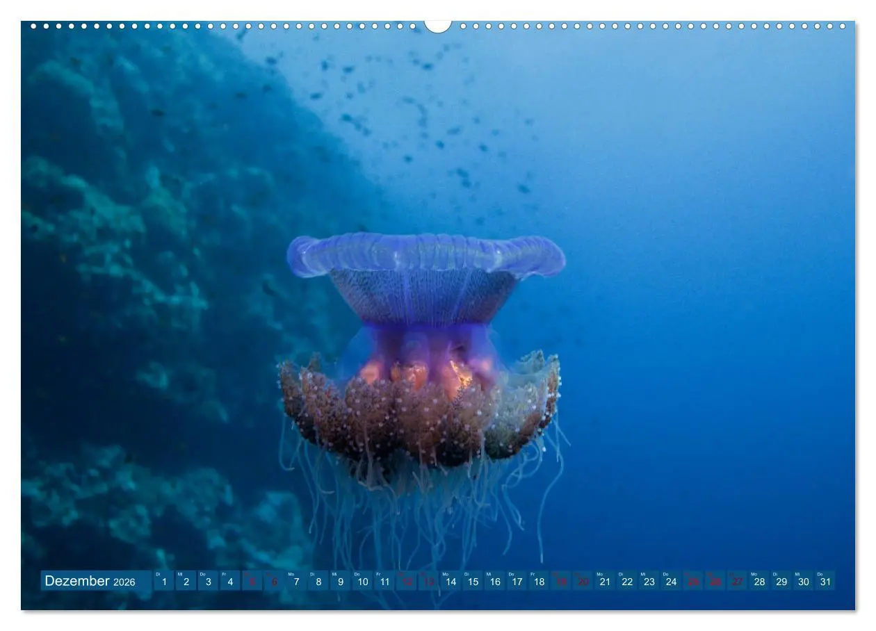 Bild: 9783457753934 | Farbenfrohes Meer (hochwertiger Premium Wandkalender 2026 DIN A2...