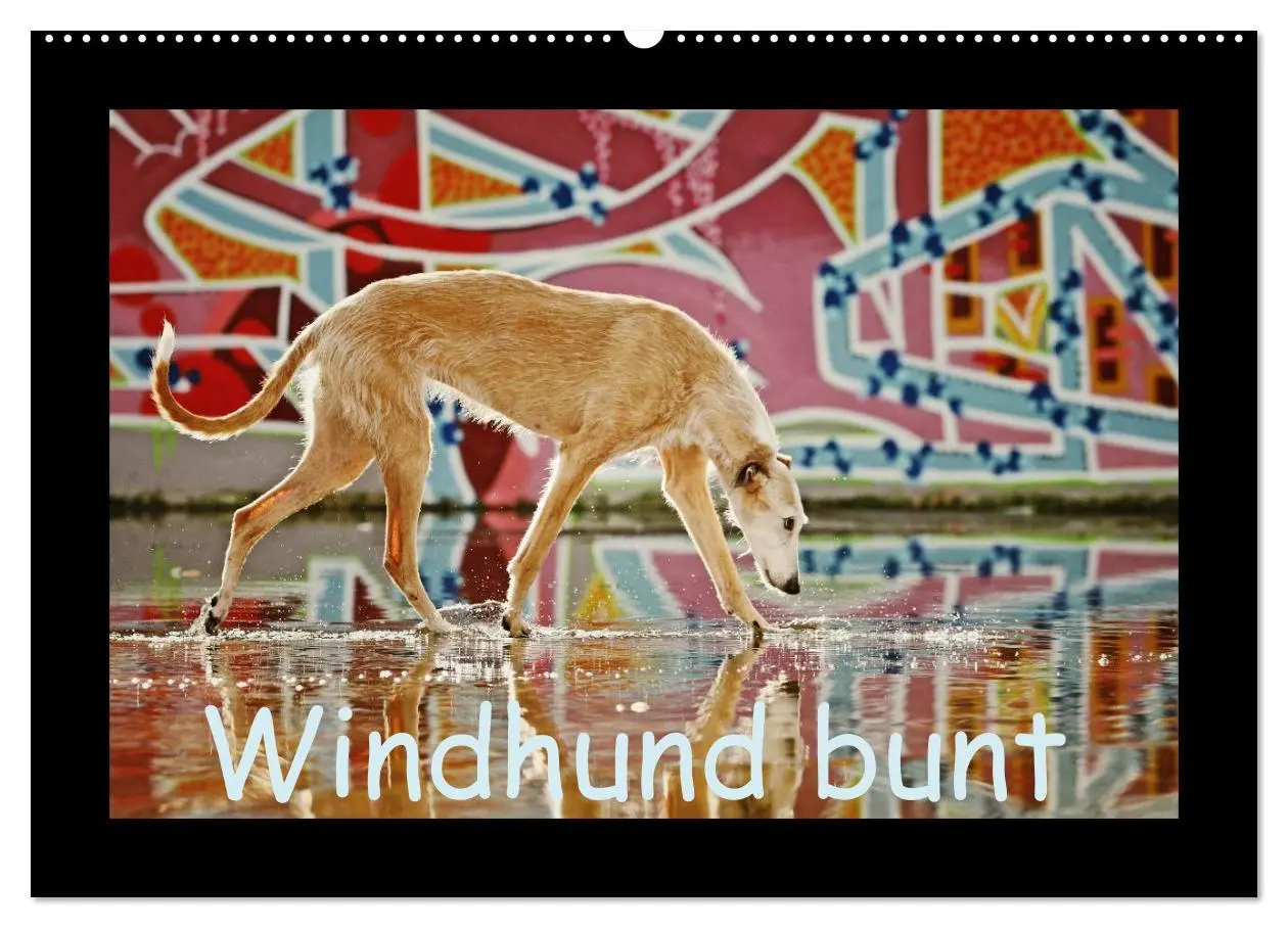 Cover: 9783516083934 | Windhund bunt (Wandkalender 2026 DIN A2 quer), CALVENDO Monatskalender