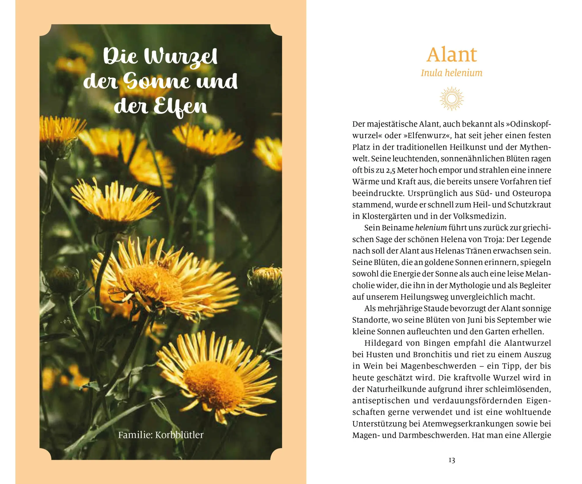 Bild: 9783710403934 | Sonnenkräuter für die Seele | Doris Kern | Buch | 144 S. | Deutsch