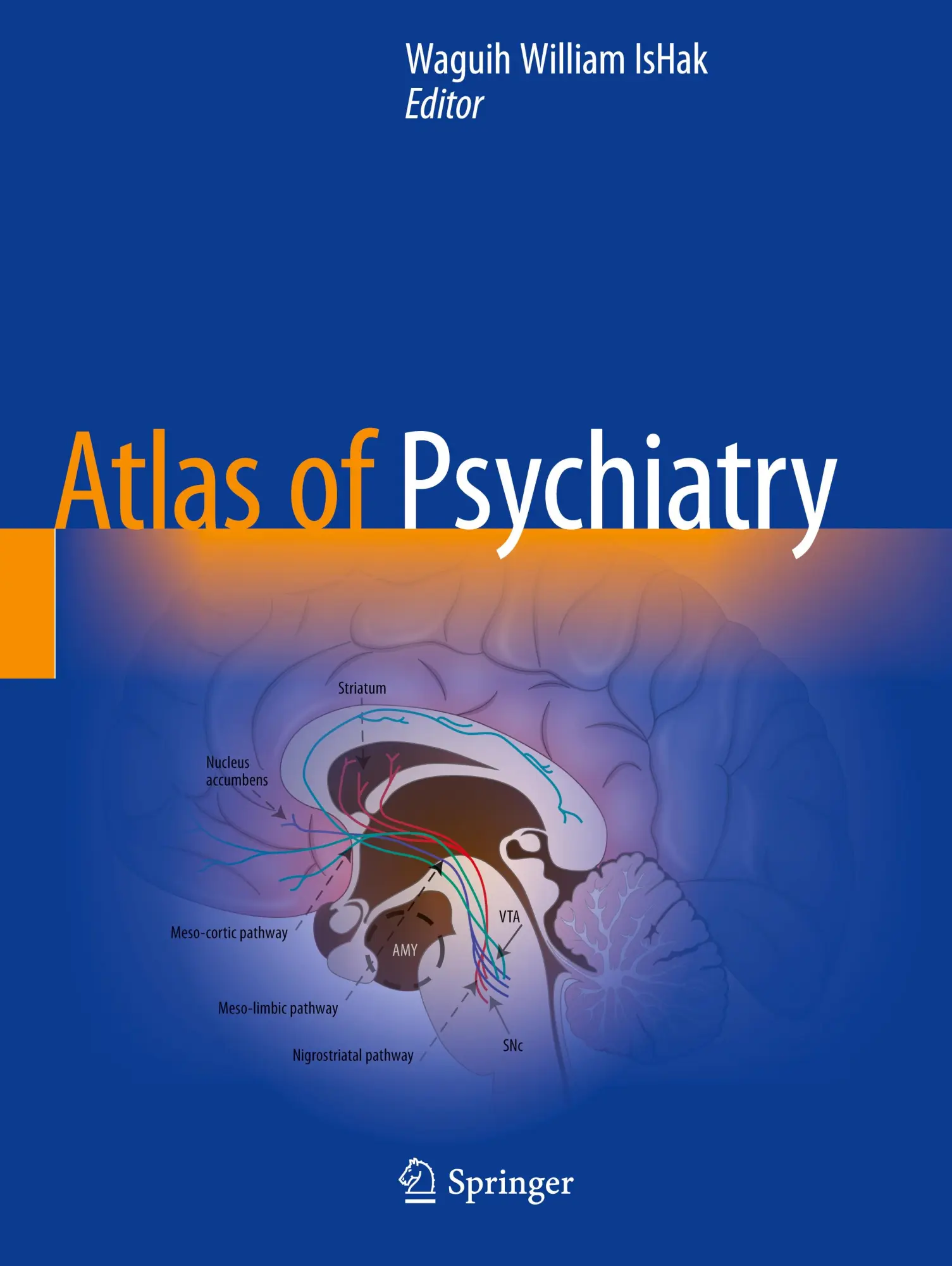 Cover: 9783031154034 | Atlas of Psychiatry | Waguih William Ishak | Taschenbuch | xx | 2024
