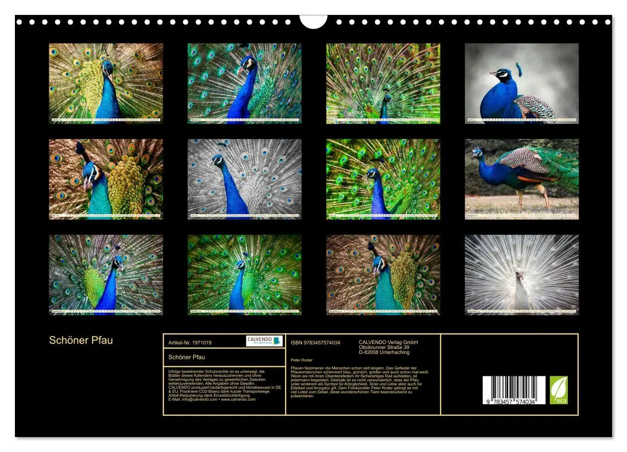 Bild: 9783457574034 | Schöner Pfau (Wandkalender 2026 DIN A3 quer), CALVENDO Monatskalender