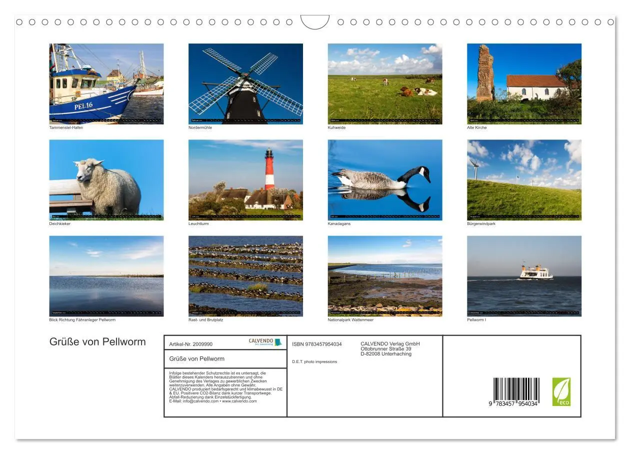 Bild: 9783457954034 | Grüße von Pellworm (Wandkalender 2026 DIN A3 quer), CALVENDO...