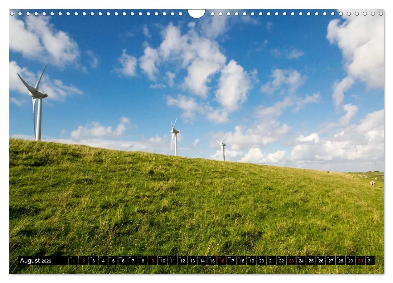 Bild: 9783457954034 | Grüße von Pellworm (Wandkalender 2026 DIN A3 quer), CALVENDO...