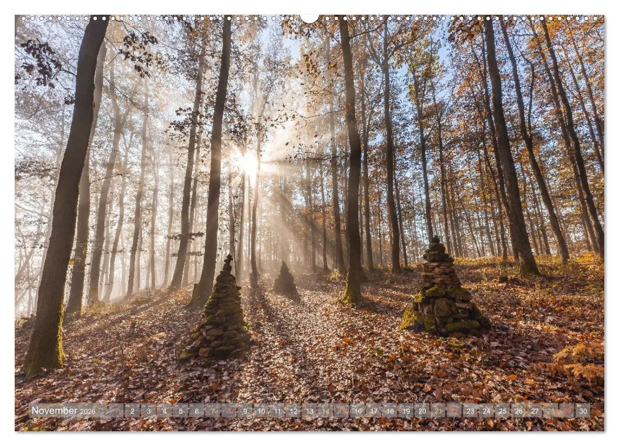Bild: 9783457564134 | Naturparadies Pfälzerwald (Wandkalender 2026 DIN A2 quer), CALVENDO...