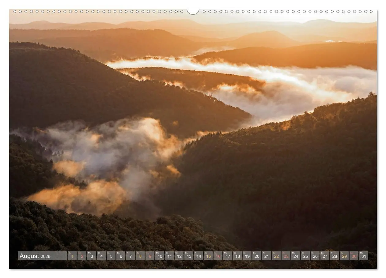 Bild: 9783457564134 | Naturparadies Pfälzerwald (Wandkalender 2026 DIN A2 quer), CALVENDO...