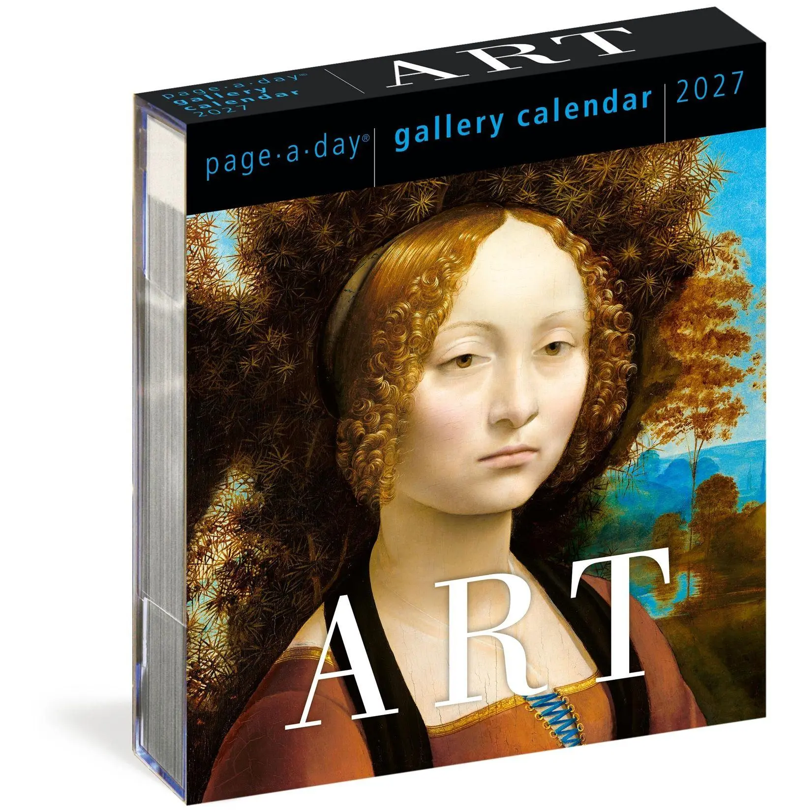 Cover: 9781523534234 | Art Page-A-Day® Gallery Calendar 2027 | Kalender | Englisch | 2027