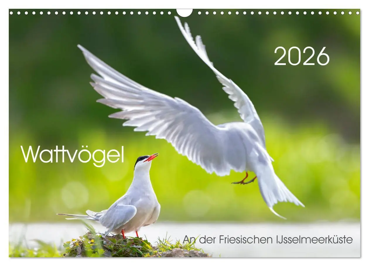 Cover: 9783457864234 | Wattvögel an der Friesischen IJsselmeerküste (Wandkalender 2026 DIN...