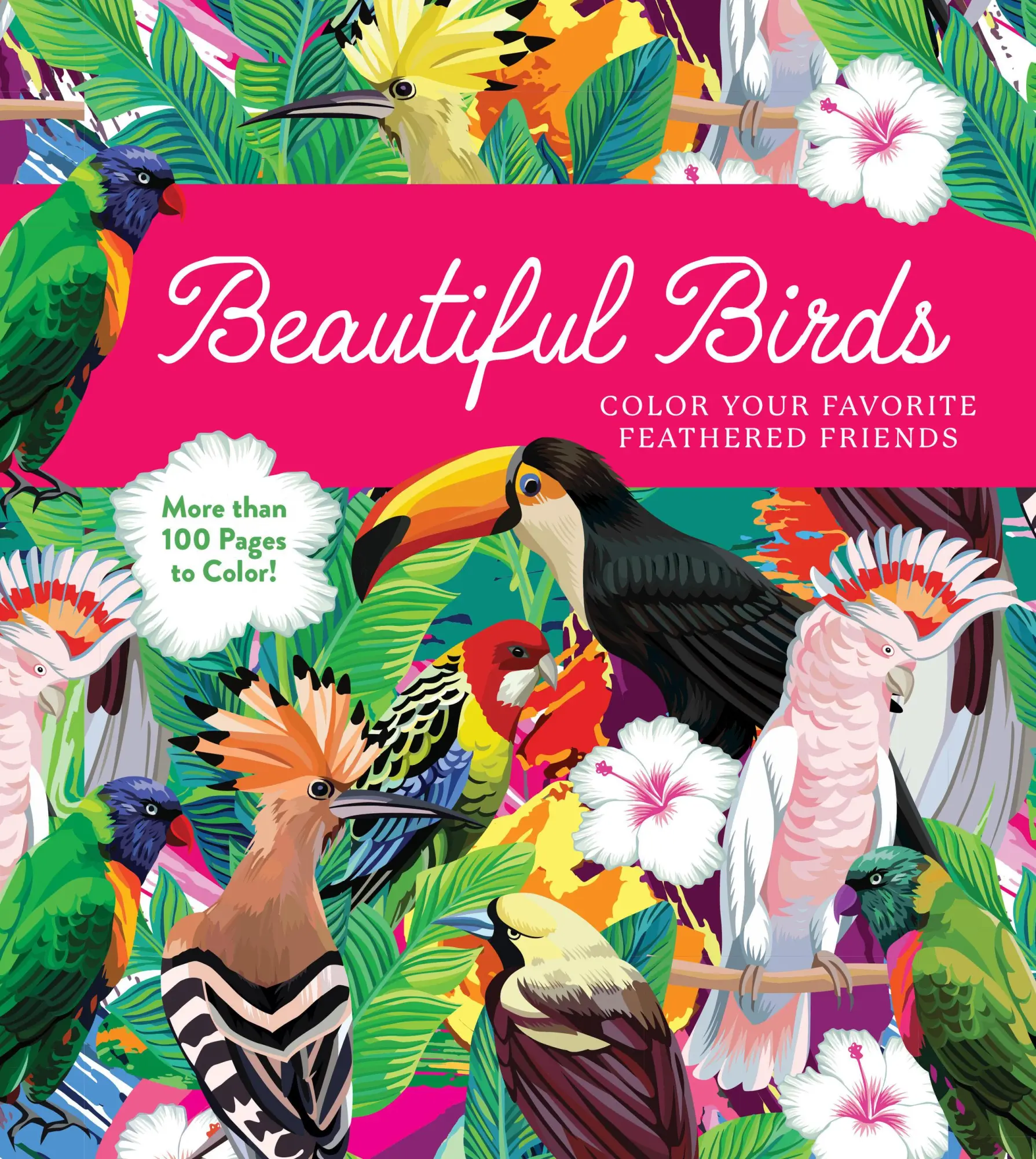 Cover: 9780785844334 | Beautiful Birds | Editors of Chartwell Books | Taschenbuch | Englisch