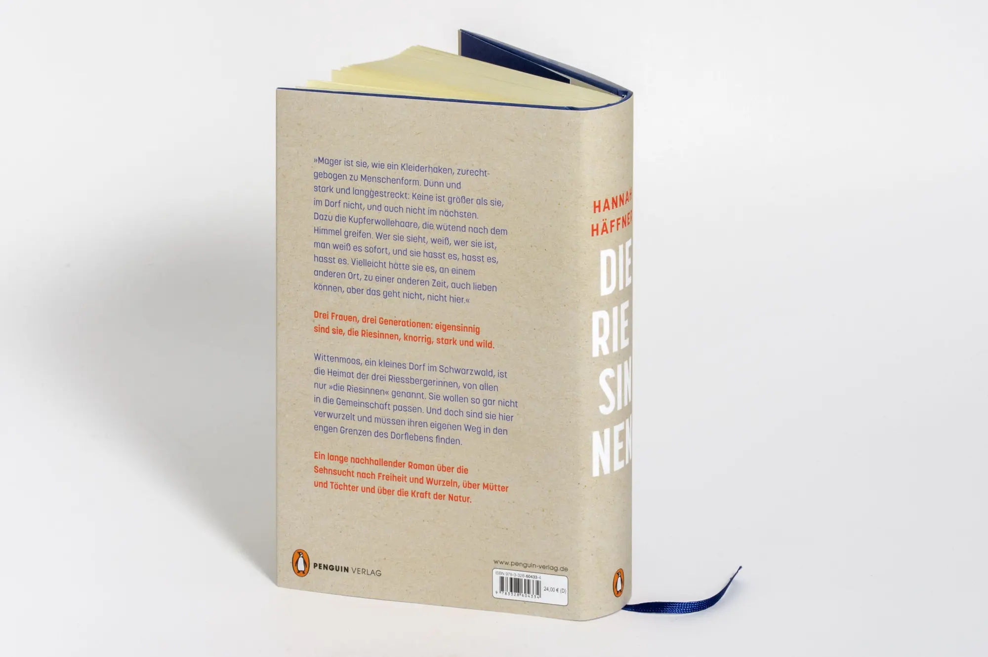 Bild: 9783328604334 | Die Riesinnen | Hannah Häffner | Buch | 416 S. | Deutsch | 2026