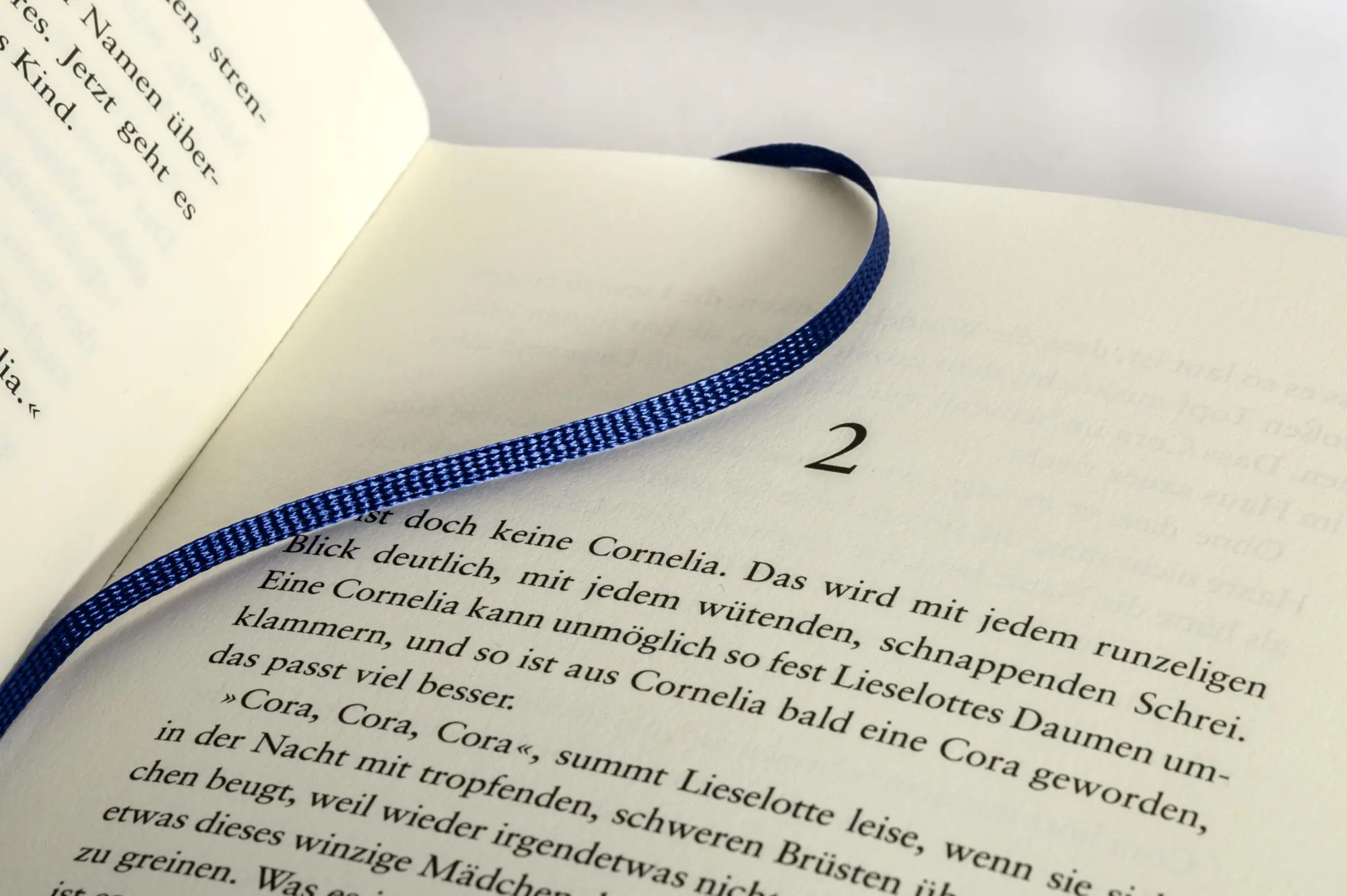 Bild: 9783328604334 | Die Riesinnen | Hannah Häffner | Buch | 416 S. | Deutsch | 2026